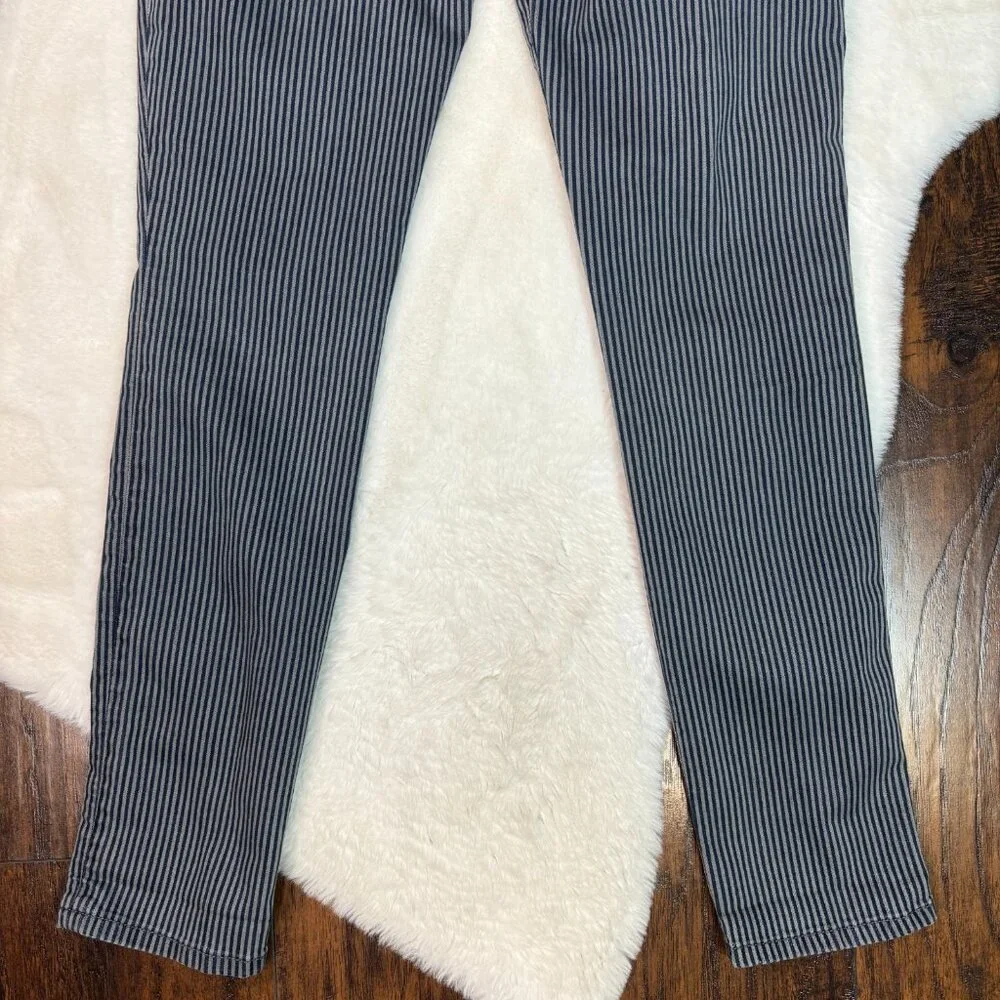 Level 99 Liza Skinny Jeans‎ 30 Striped Blue Gray Mid-Rise Stretch Women's